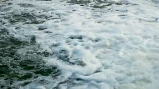 河流中的水沸腾着白沫 背景中的水沸腾着气泡 森林中的瀑布流入河流 — 图库视频影像