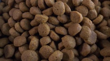 Makro yakın plan. Pikapta bir kasede kuru kedi maması. Evcil hayvan maması. Yavaş çekim.