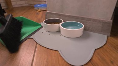 Yerdeki çöpler, süpürgeyle çöpleri süpürmek bir kedinin halısından faraş yapmak, yakın çekim, yavaş çekim..