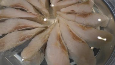 Yakından balıklar geliyor. Ringa balığı makro shot 'ı. Yavaş çekim