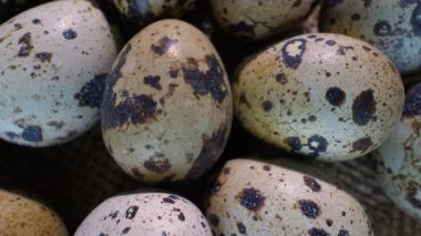 Eski bir çantanın üzerinde bıldırcın yumurtası. Pikapta hareket halindedirler. Üst Manzara. Yakın plan.