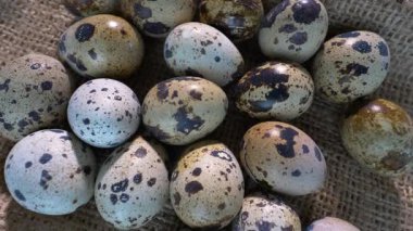 Eski bir çantanın üzerinde bıldırcın yumurtası. Pikapta hareket halindedirler. Üst Manzara. Yakın plan.