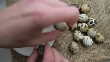 Kırsal bir torbada bıldırcın yumurtası. Bıldırcın yumurtaları hareket halindeyken insanın elindedir. Yavaş çekim