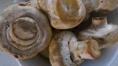 Mantar şampiyonları döner tablada dönüyorlar. Çiğ şampiyon mantarı. Ağır çekim. Yakın çekim makro çekim