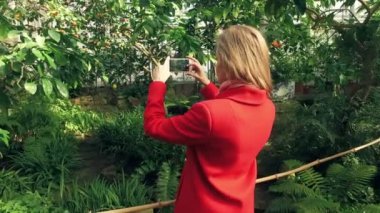 güzel genç kadın telefon Botanik Bahçesi içinde fotoğraf çekimi