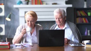 elderly happy couple working on the computer