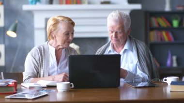Üst düzey çift websurfing dizüstü bilgisayar ile Internet üzerinde. Mutlu yaşlı adam ve bilgisayar kullanan kadın