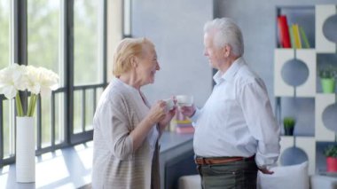 sevgi dolu ve mutlu yaşlı çift modern bir daire. konuşma, çay ve gülmek iç