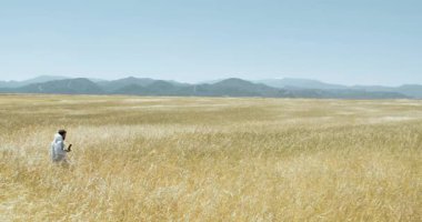 Berrak mavi gökyüzünün altındaki uzak dağlara uzanan altın buğday tarlasına sahip huzurlu bir manzara.