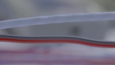 Kırmızı, mavi ve beyaz elektrik telleri diyagramı.