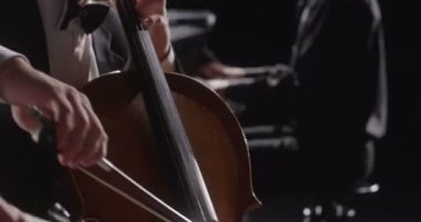 Kontrbas ve Keman çalmaya karşı siyah arka plan kadın oynayan genç adam