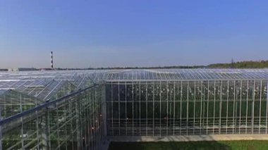 Seralarda sebze gündüz, havadan görünümü, hareketli kamera sinek