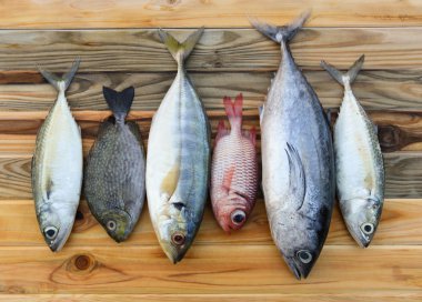 mix fresh sea fishes for cooking clipart