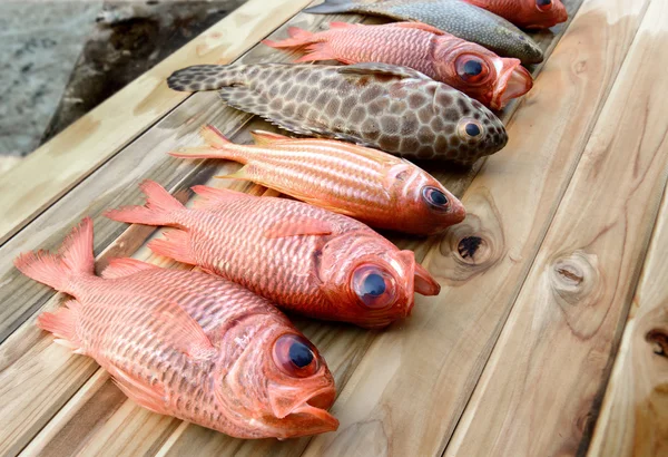 Свіжа риба-пінекон для приготування їжі — стокове фото