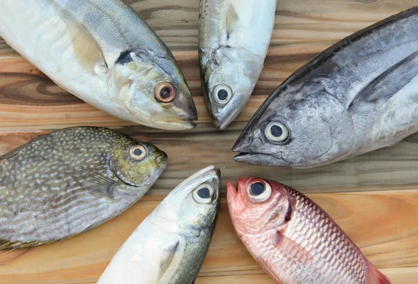 Wymieszać świeże morskie ryby do gotowania — Zdjęcie stockowe