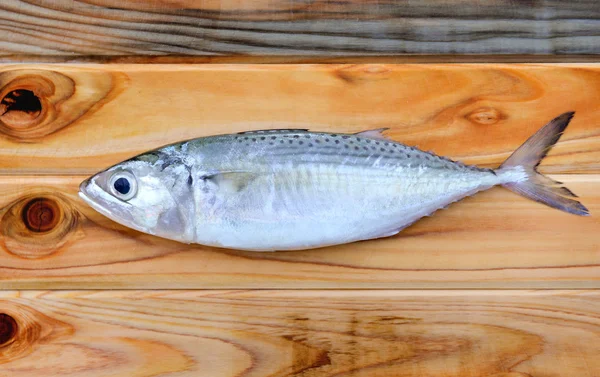 Freas indyjski makreli do gotowania — Zdjęcie stockowe