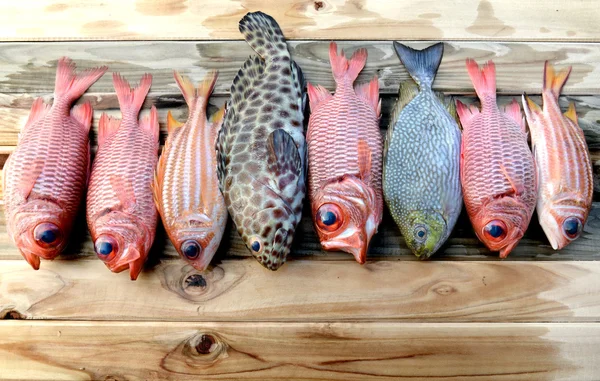 Mix čerstvých ryb voják borovou a kanice ryb pro vaření — Stock fotografie