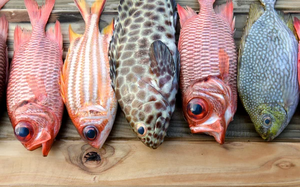 mix fresh Pinecone soldier fish and grouper fish for cooking