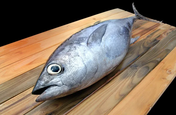 Świeży tuńczyk z rynku — Zdjęcie stockowe
