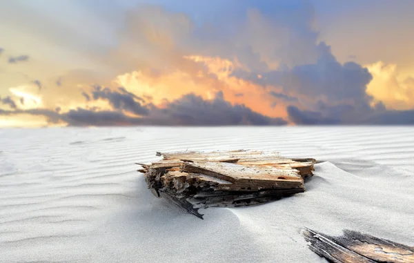 Пляжный песок и погребенное бревно — стоковое фото
