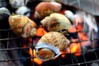 Benekli babylon mangal kömürü yanıyor