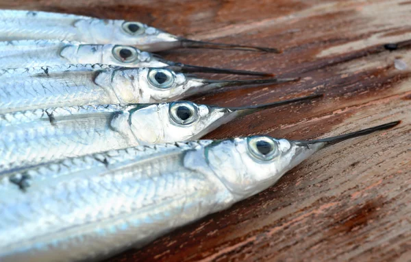 Skupina ryb strakaté halfbeak — Stock fotografie