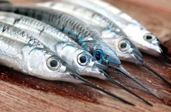 Stock image Group of Spotted halfbeak fish