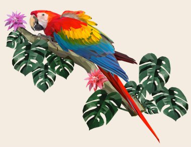 Amazon orman yapraklı çokgen Macaw kuşu.