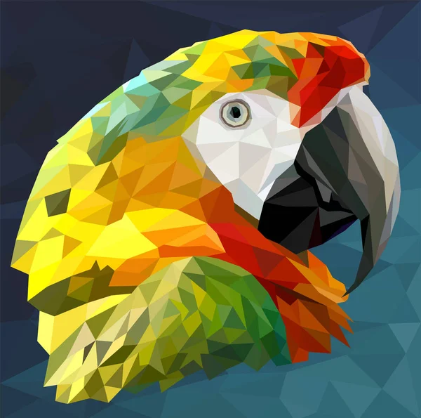 Polygonal Εικονογράφηση Κεφάλι Του Πουλιού Macaw Σκούρο Μπλε Φόντο — Διανυσματικό Αρχείο