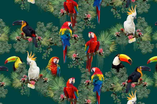 Seamless patterns art of Amazon tropical rainforest with colorful toucan and macaw birds.