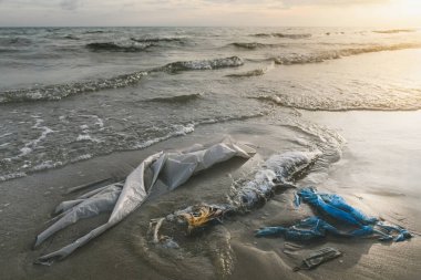 Plastik çöp ve deniz kıyısındaki ölü balıklar açık hava güneşiyle aydınlanıyor..