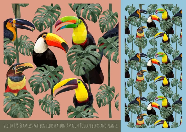 Bezešvé Vzor Ilustrace Ručně Kreslené Umění Mix Barevných Toucan Ptáků — Stockový vektor