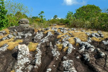 Tayland 'ın kuzeyindeki Phu Hin Rong Kla Ulusal Parkı' nda beyaz liken ve doğal erozyon kanalları bulunan belirgin kaya oluşumları..