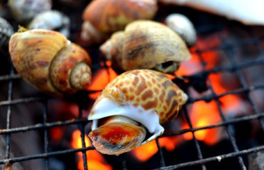 Benekli babylon ızgara