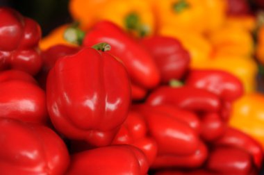 Bekleyen köpek bakmaya devam