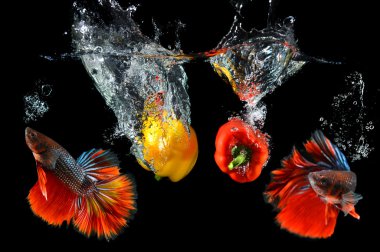 Koolhaus meyve ve balık mücadele saimese