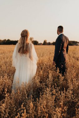 Gün batımında güzel bir tarlada düğün çifti. Buğday tarlasında gün batımı ışığı. Yeni evliler. Aşk konsepti. Düğün konsepti