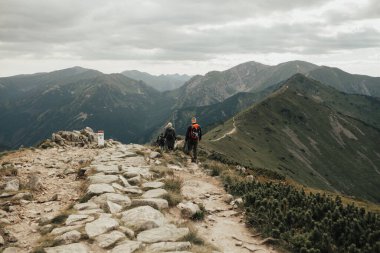 manzaralı dağ manzarası, yaz sabahı / akşam manzaralı dağ tarlası, Tatras