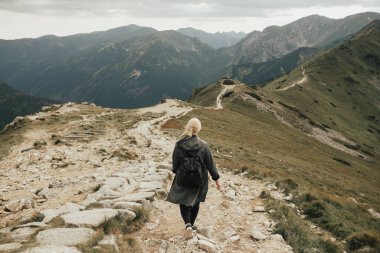 manzaralı dağ manzarası, yaz sabahı / akşam manzaralı dağ tarlası, Tatras