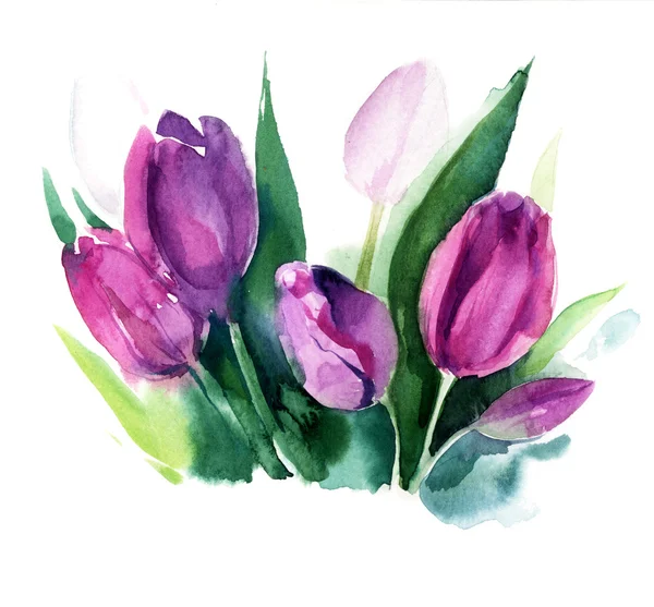 Акварельний ескіз рожевих тюльпанів — стокове фото