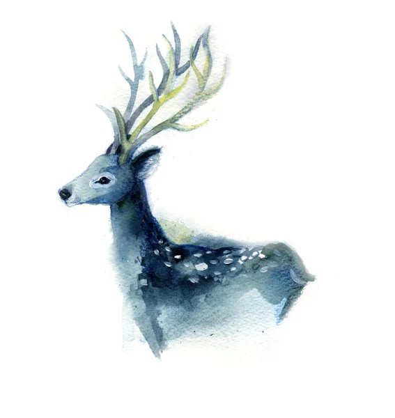Akvarel skica krásný modrý jelen — Stock fotografie