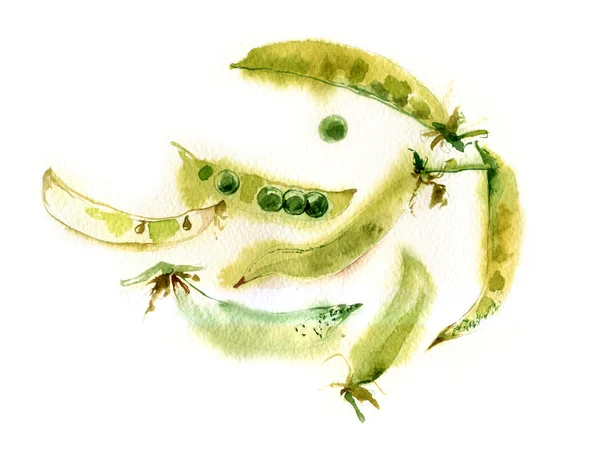 水彩绿色豌豆 — 图库照片