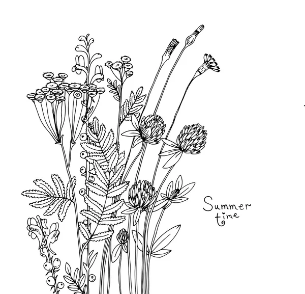 Croquis vectoriel des fleurs sauvages . — Image vectorielle