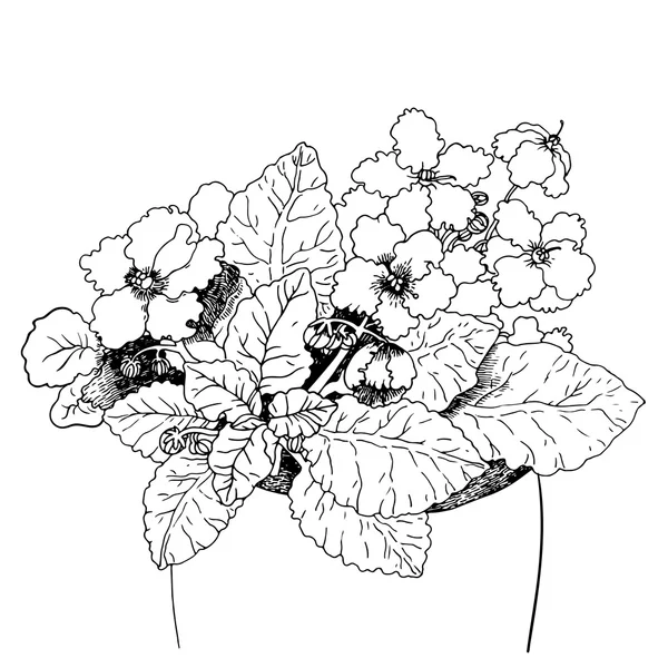 Βιολετί λουλούδι στην κατσαρόλα. — Διανυσματικό Αρχείο