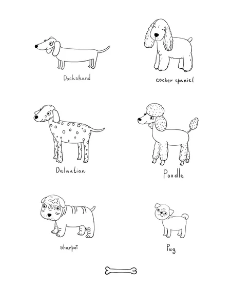 sevimli çizgi köpekler çeşitli cins