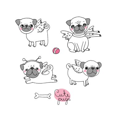 Şirin Pugs. Köpekler.