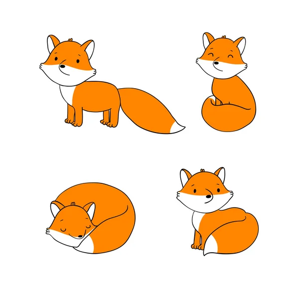 Set of cute little fox. — Stock Vector