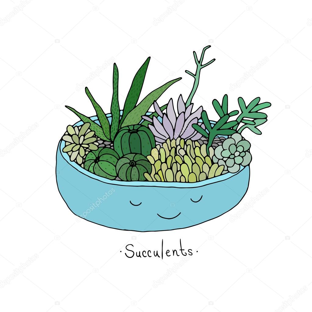 Cartoon cute succulents in pot. Stock Vector Image by ©Natasha_Chetkova