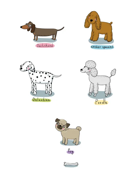 Lindos perros de dibujos animados de varias razas  . — Vector de stock