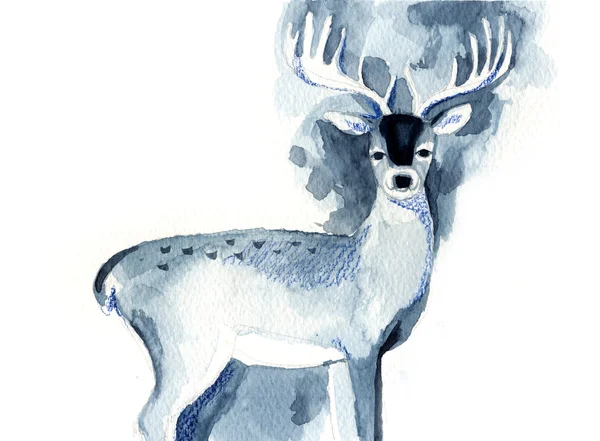 漂亮的蓝色鹿的水彩素描 — 图库照片